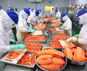 Thỏa thuận Xanh châu Âu: Nông sản, thực phẩm và dệt may cần nắm bắt cơ hội “người đi trước”
